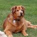 Bruce Mortensen - Facebook