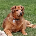 Bruce Mortensen - @youcanemailbruce - Instagram