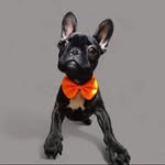 Bruce French - @brucewayne_mosby - Instagram