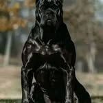 Bruce Mosley - @brucemosley68 - Instagram
