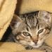 Bruce Mossman - Facebook