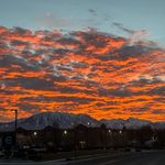 Bruce Mossman - @bruce.mossman - Instagram