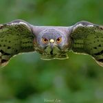 Bruce Mouatt - @brucemouatt - Instagram