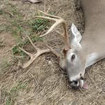 Bruce Mumford - @brucemumford123054 - Instagram