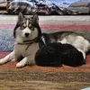 Bruce E Munro - @bruce.e.munro - TikTok
