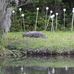 Bruce Munro at Brookgreen: Southern Light - Facebook