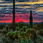 Bruce Nielsen - @bnielsen2 - Instagram