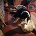 Bruce Nielsen - Facebook