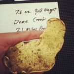 Bruce Noll - @bruce.noll - Instagram
