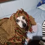 Bruce Oakes - @bruceoakes58 - Instagram