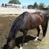 Bruce Oakes - @bruce.oakes3 - TikTok