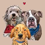 Lily, Bruce & Oakley - @the_neuman_guys - Instagram