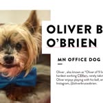 Oliver Bruce O'Brien - @oliverbruceobrien - Instagram