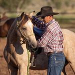 Bruce O’Dell - @odell.equine - Instagram