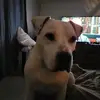 Bruce Dearman - @bruce.dearman - TikTok