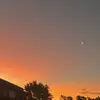 brucethomann_123 - @brucethomann - TikTok