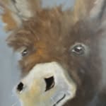 Bruce Olmstead - @bearriver1980 - Instagram