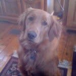 Bruce Osborne - @bosbo400 - Instagram