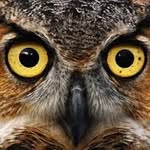 Bruce Osborne - @dogfish_7 - Instagram