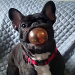 Bruce Miotto - @brucemiotto - Instagram