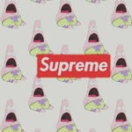 Bruce otto shunk - @bs32.f - Instagram