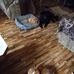Bruce E. Overby - Facebook
