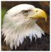 Bruce Overton - Facebook