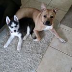 Bruce / Willows Page - @bruce_and_willow - Instagram