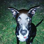 Bruce Page - @ultralimitedhd - Instagram