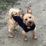Bruce Painter-Greenwood - @puppybrucie - Instagram