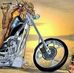 Memphis Rebel - Facebook