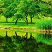 Bruce Park - Facebook