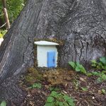 The Elf of Bruce Park - @bruceparkelf - Instagram