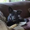 Bruce E Parsons - @bruce.e.parsons - TikTok