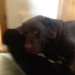 Bruce Parsons - @dachocolatebar_21 - Instagram