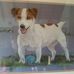 Bruce Parsons - Facebook