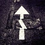 Bruce Paynter - @bruce_paynter - Instagram