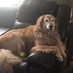 Bruce Pearce - @bpearce5457 - Instagram