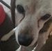 Bruce Pease Sr. - Facebook
