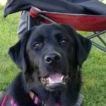 Bruce Pedersen - @pedersenmiata - Instagram