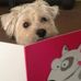 Bruce Pedersen - Facebook