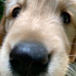 Bruce Pendleton - @brucependleton - Instagram