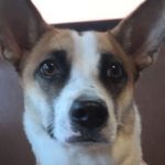 Bruce Peoples - @bruce.peoples - Instagram