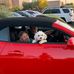 Bruce Perlman - Facebook