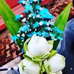 Bruce Pickett - @brucepickett4 - Instagram