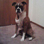 Bruce Pittman - @talon151 - Instagram