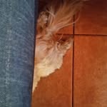 Bruce Pollard - @suavey_cavey - Instagram