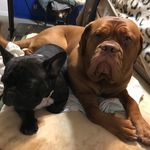 Bruce Prescott - @bpresco1 - Instagram