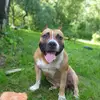 bruce_ast - @bruce_ast - TikTok
