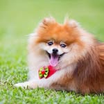 Bruce Radtke - @brucethevilles - Instagram